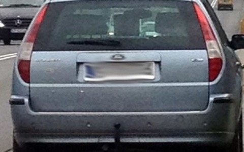 Łoś oglądający opony