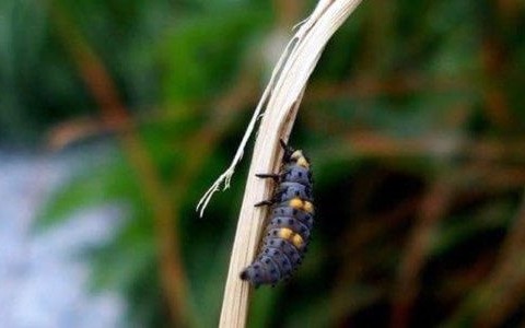 Prognoza pogody na najbliższe dni – FILMY