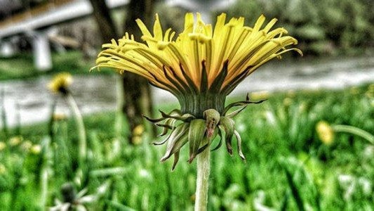 Prognoza pogody na środę