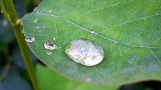 Prognoza pogody na sobotę