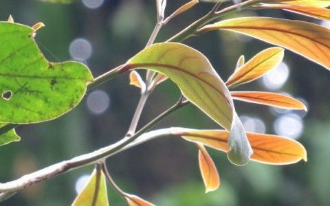 Prognoza pogody na środę – FILM