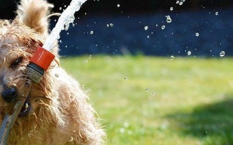 Obniżenie temperatury i deszcz – FILM