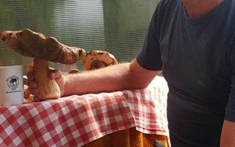 Czy już czas na grzybobranie? – FOTO