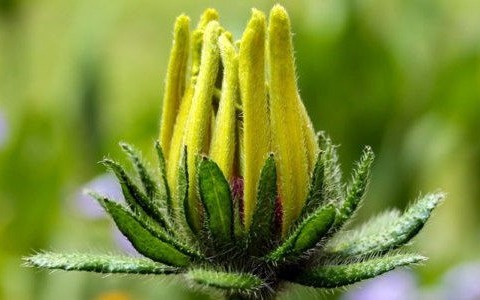 Upalny i burzowy czwartek – FILM