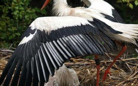 Prognoza pogody na sobotę – FILM