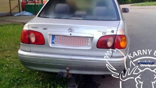 Szanuj zieleń, czyli Karne Łosie w FO