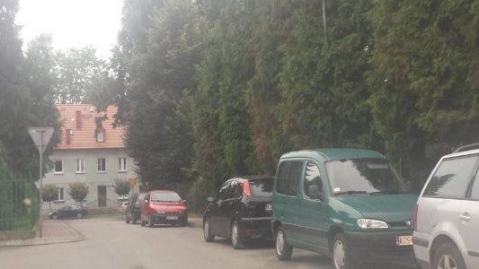 Karne Łosie na dwukierunkowej