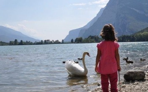 Prognoza pogody długoterminowa – FILM