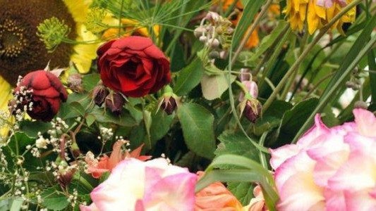 Cudowna Moc Bukietów – zgłoś się do konkursu