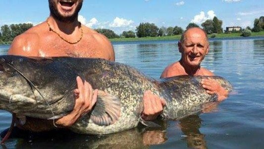 Olbrzymi sum wpadł do bramki Fikiego