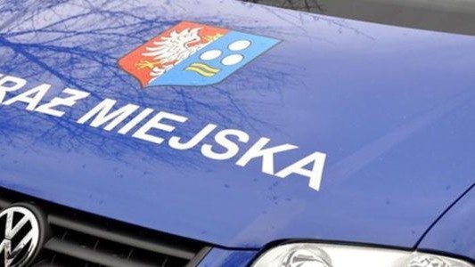 Śmieci po remoncie wywiózł do lasu