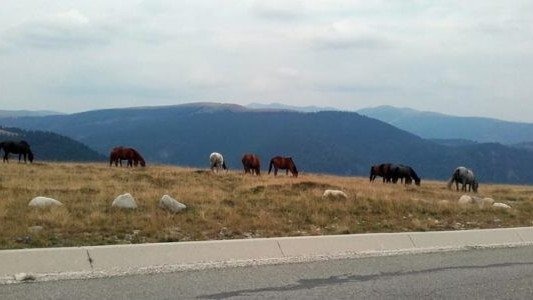Z Nikolą i Tomkiem po Europie, część 9 – FOTO