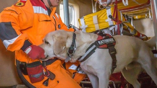 Wzięli udział w poligonie – FOTO