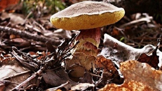 Chłodne, ale słoneczne pożegnanie lata