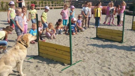 Lekcja na cztery łapy – FOTO