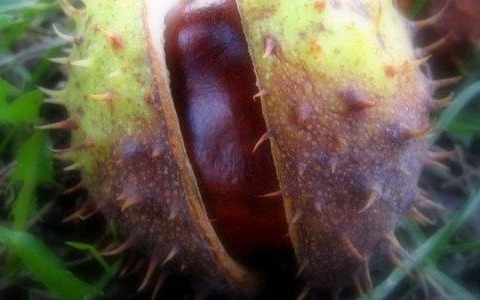 Weekend z parasolem – FILM