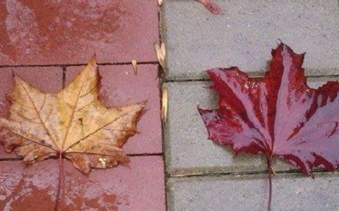 Weekend w kratkę – FILMY