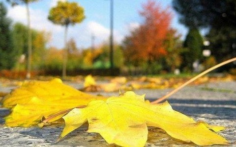 Pogodna niedziela – FILM