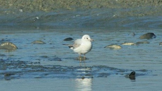 Co kryje oświęcimska ziemia? Dolina Karpia – FILM