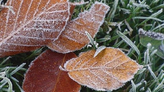 Będzie wietrznie – FILMY