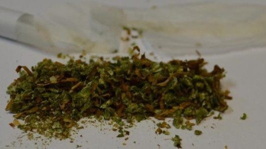 Policjanci mieli nosa