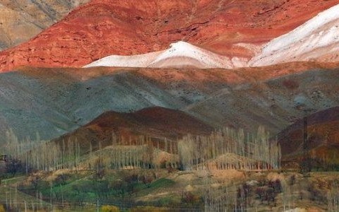 Fotograficzny sukces Piotrka Tarczyńskiego