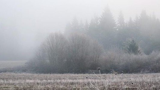 Gdyby nie przechodzeń, mogła zamarznąć