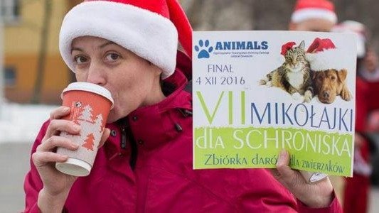 Cztery tony uśmiechu i dobrych myśli – FOTO