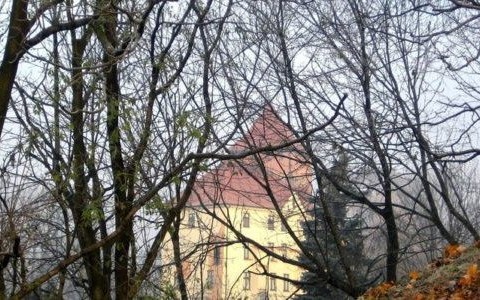 Święta bez śniegu