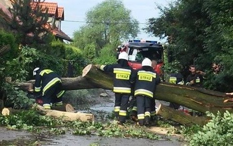 Ostrzeżenie. Silny wiatr