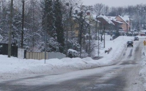 Uratował psa seniora od śmierci z wyziębienia