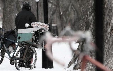 Schronili ich przed niskimi temperaturami