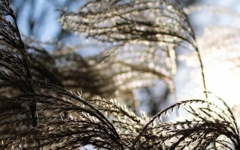 Ostrzegamy przed silnym wiatrem