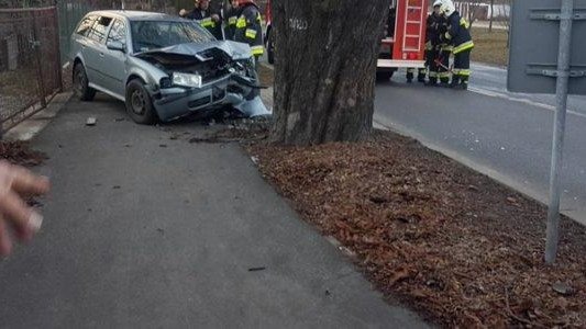 Czołówka z drzewem. Kierowca zasnął? – FOTO