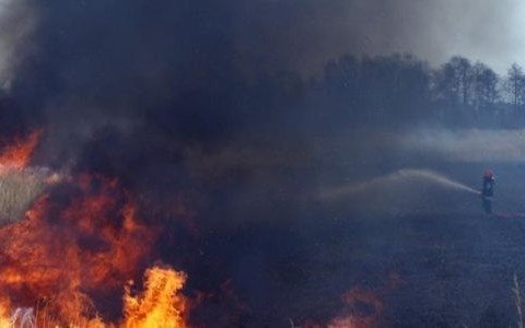 Podpalacz wpadł na gorącym uczynku