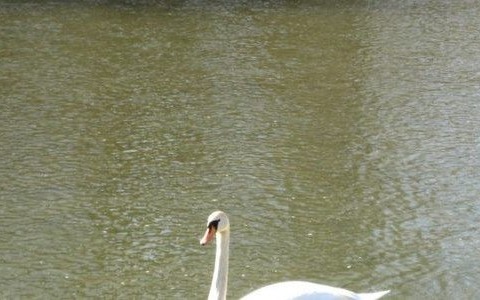 Śnieg tak, ale w powiecie oświęcimskim dopiero wieczorem