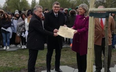 Baskowie zasadzili Dąb Wolności w Oświęcimiu