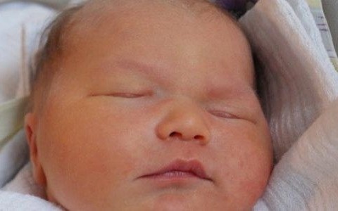 Cztery plus czterech. Witamy wśród nas – FOTO