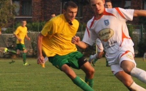 Niwa skuteczniejsza od Tempa