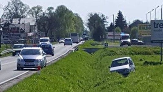 Sarna przyczyną kolizji drogowej