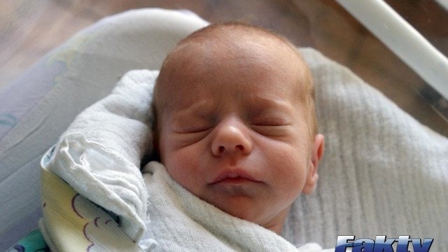 Witamy wśród nas tuzin maluchów – FOTO