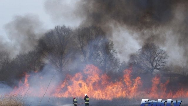 Policjanci złapali podpalacza