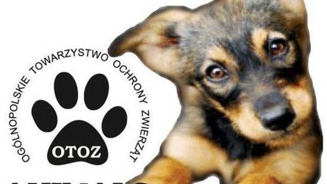 Pikieta w obronie zwierząt odwołana