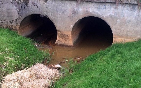 To nie są chemikalia – FILM, FOTO