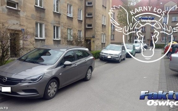 Karne Łosie na Chemików – FOTO