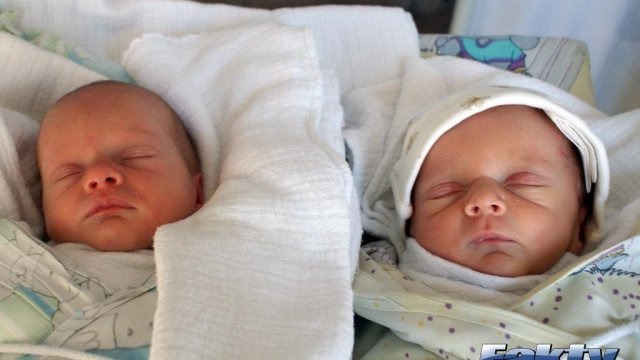 Witamy siedmiu wspaniałych i dwie śliczne – FOTO