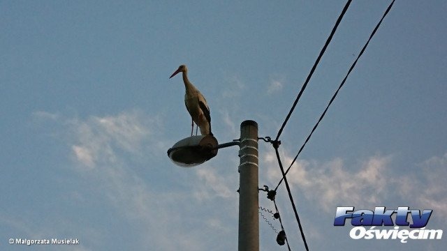 Weekend ciepły i pogodny