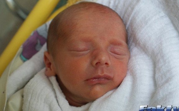 Roch i siedem wspaniałych. Witamy wśród nas – FOTO