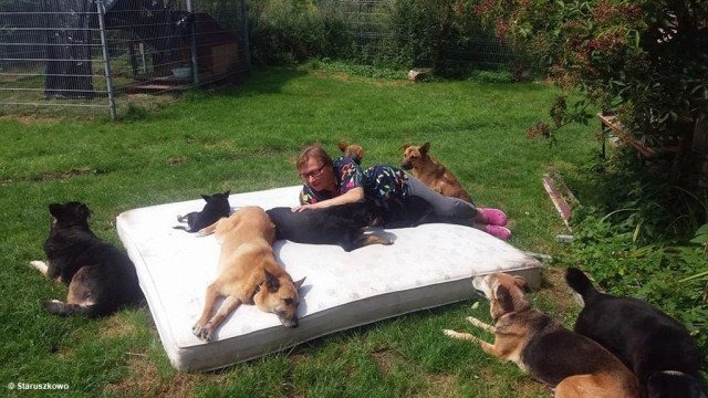 Ostatnie godziny zbiórki dla Staruszkowa