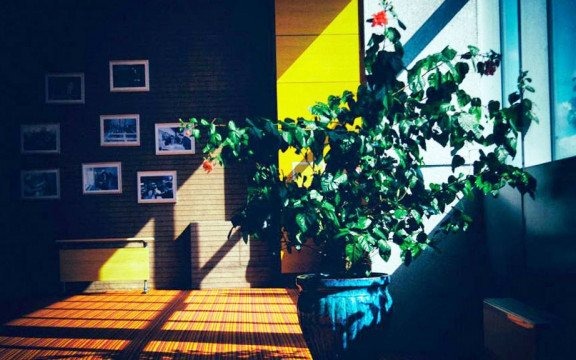 Typy włamywaczy i jak sobie z nimi radzić?